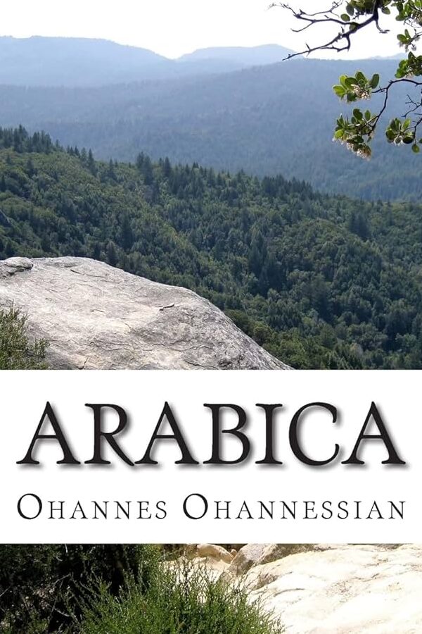 Arabica 3/7 組み立てガイド：初心者でも安心！