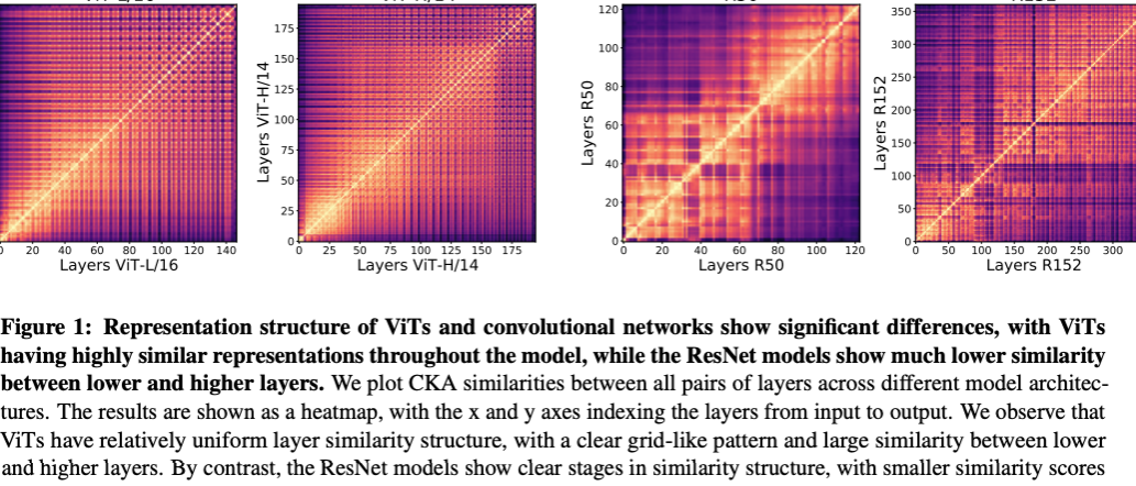 CNN vs ViT:画像認識における特徴の違いを解説 7 CNN vs ViT:画像認識における特徴の違いを解説