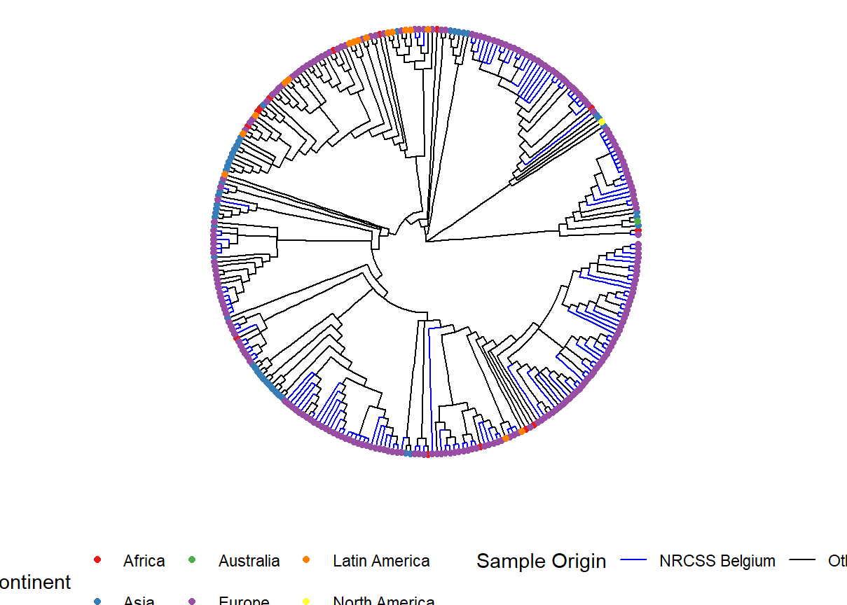 Rで系統樹をビジュアル化！apeとggtreeの使い方