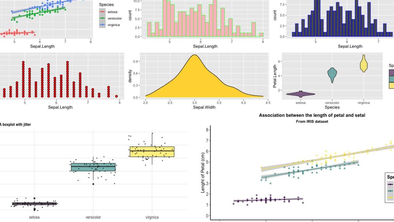 Rのggplot2でデータを美しく可視化！