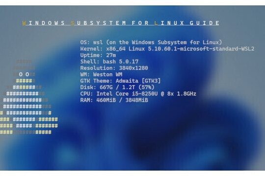 wsl2+docker ping不通問題解決！ ネットワーク接続を回復！