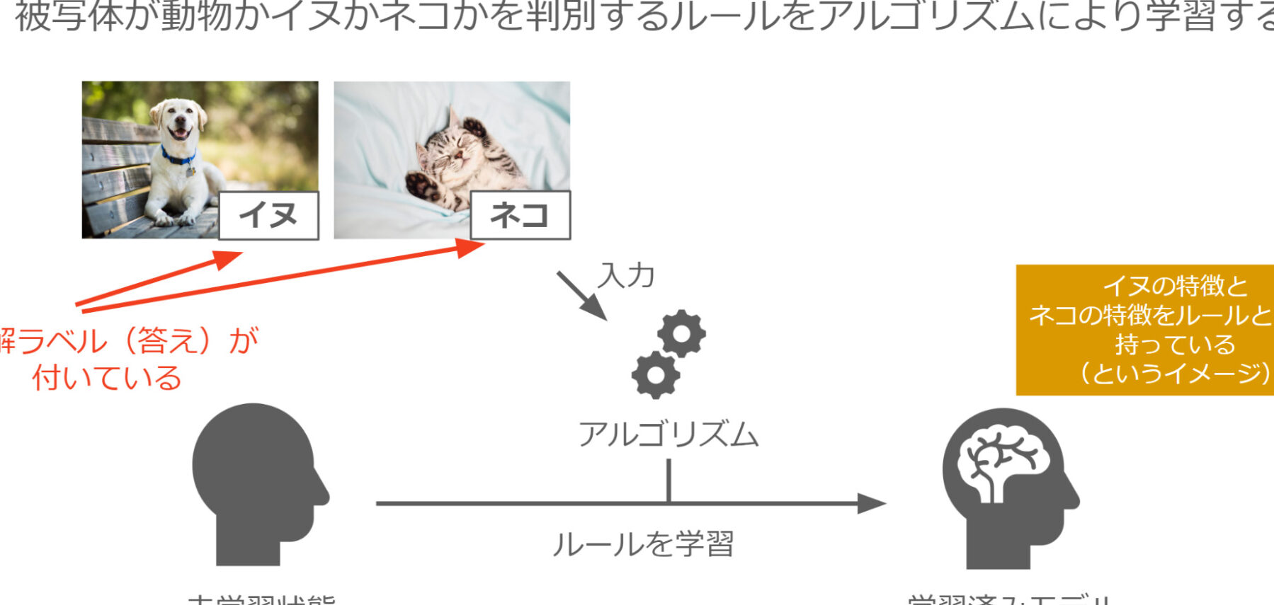 機械学習入門！代表的な手法をわかりやすく解説