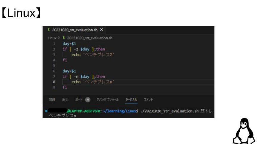 ShellScript bash 比較演算子：数値、文字列比較をマスター！